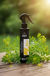 Bruma Agüita de Ruda